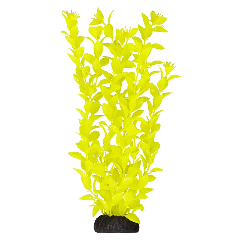 Ludwigia - Yellow - 12"