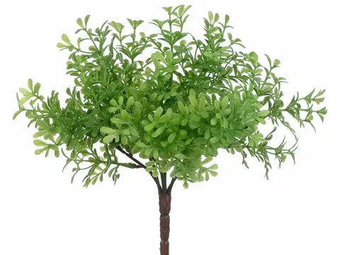 8" Thyme Bush Green - Natural Environment Aquatix