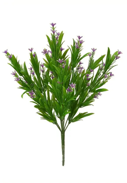 16" Pteris Star Flower/Lavender Bush Purple - Natural Environment Aquatix