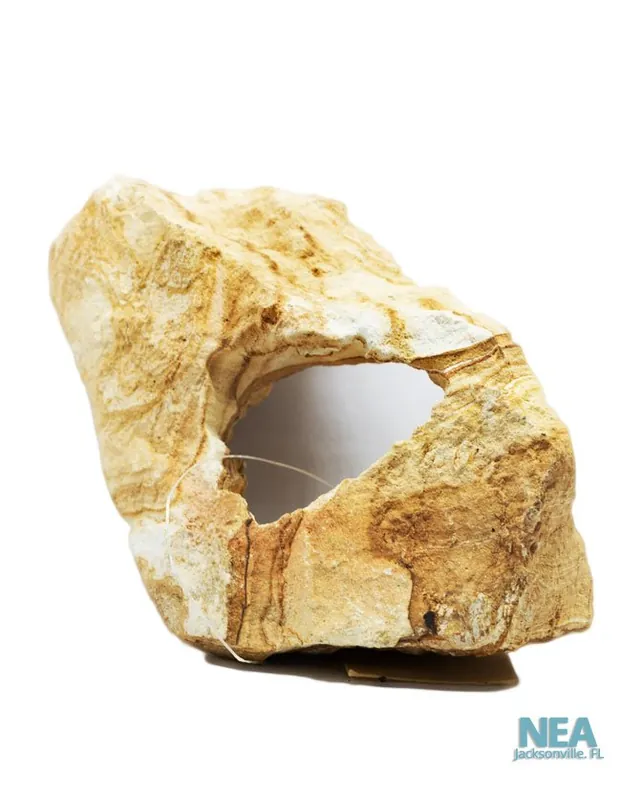 Carved Rainbow Rock - Central Pet