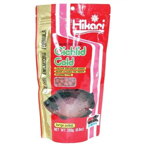 Hikari Cichlid Gold