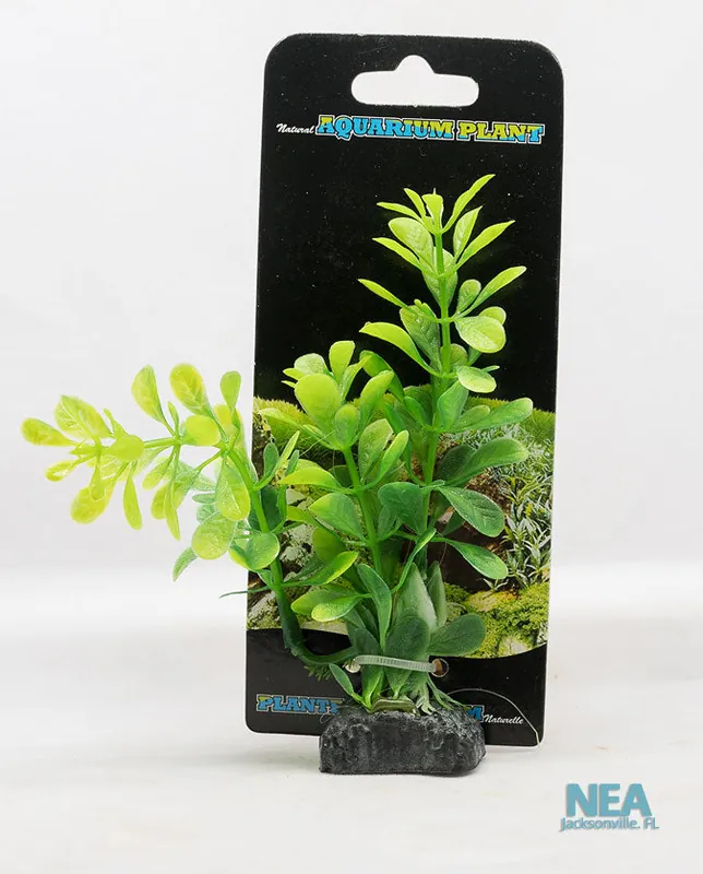 Ludwigia Decorative Aquarium Plant - Natural Environment Aquatix