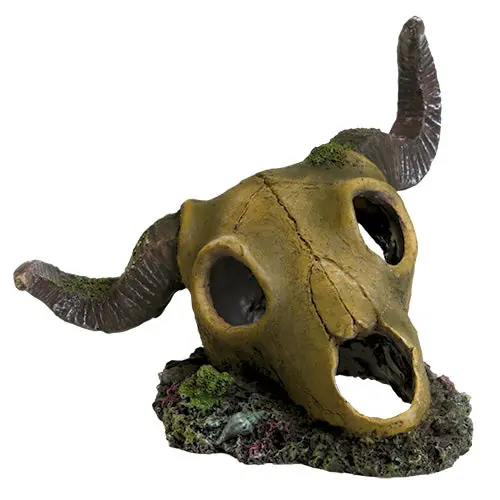 Ram Skull Aquarium Ornament - Royal