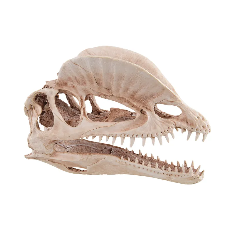 Dinosaur Skull Aquarium Ornament - Royal