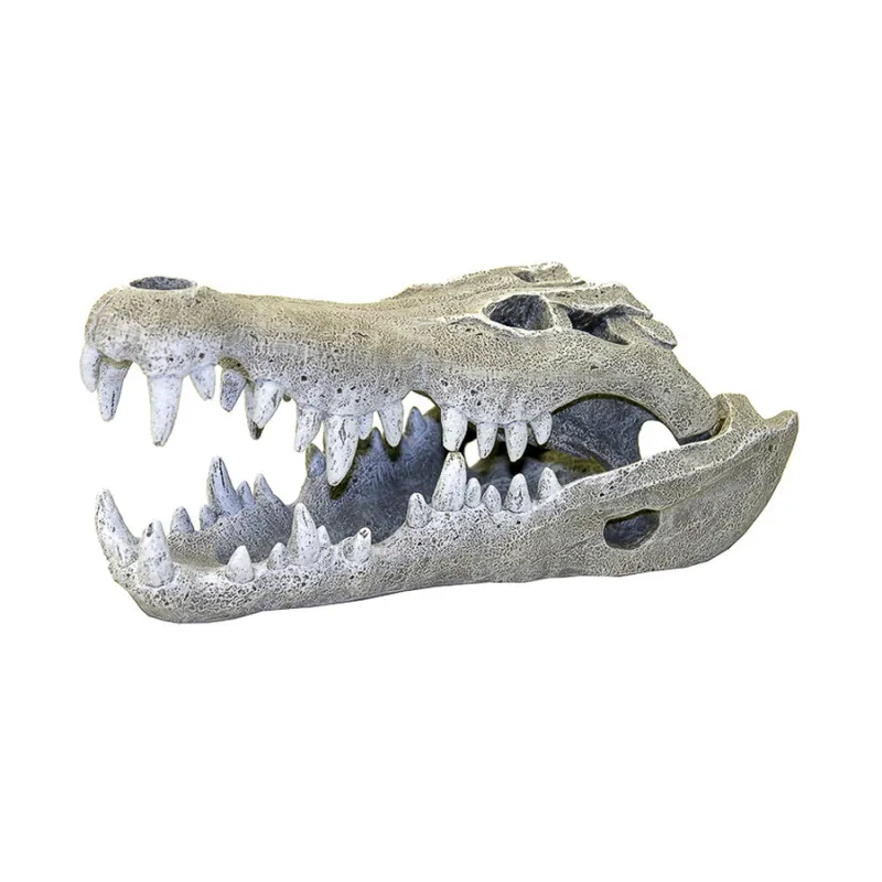 Nile Crocodile Skull Aquarium Ornament - Central Pet