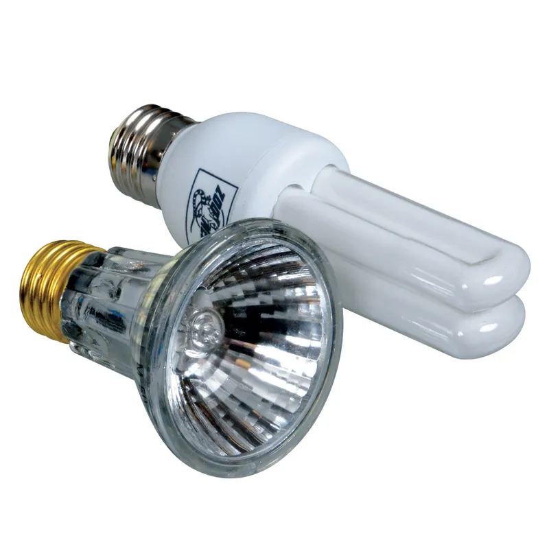 Turtle Lamp Combo Pack - Royal