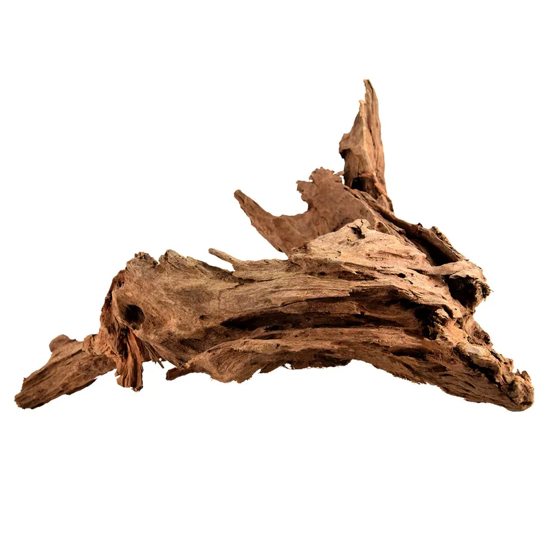 Malaysian Driftwood - 5D Tropical