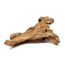 Congo Wood - 5D Tropical