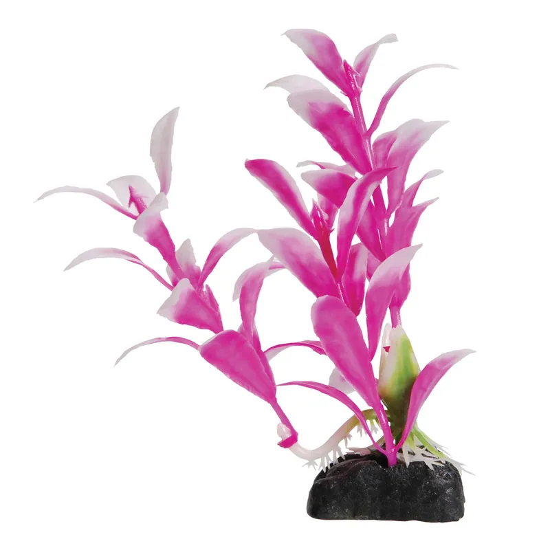 Hygro Pink Decorative Aquarium Plant - Royal