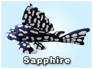Sapphire Pleco Plush - GreenPleco
