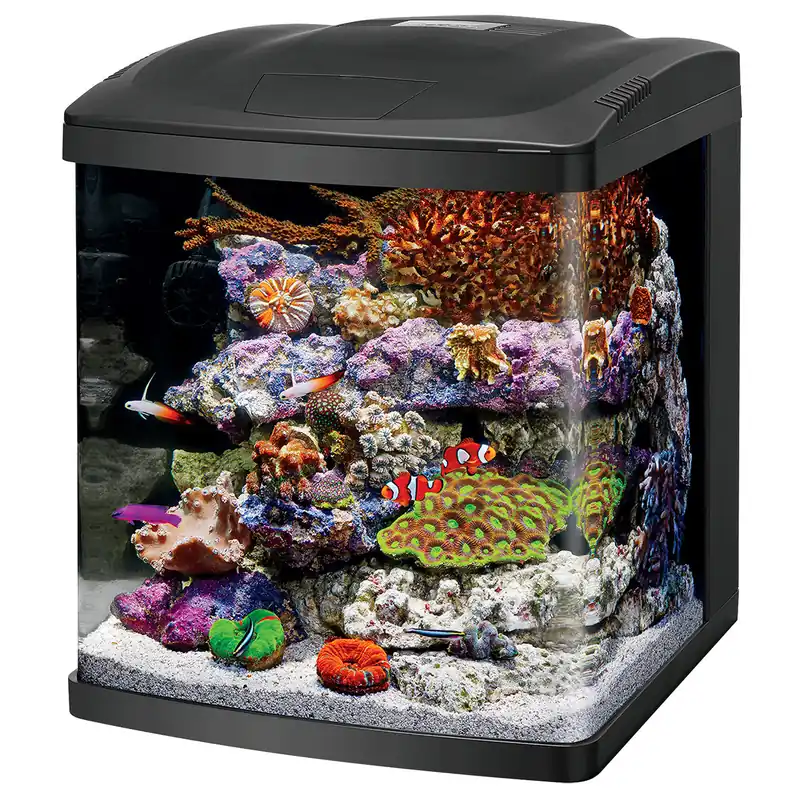 Biocube LED 16 Gallon - Royal