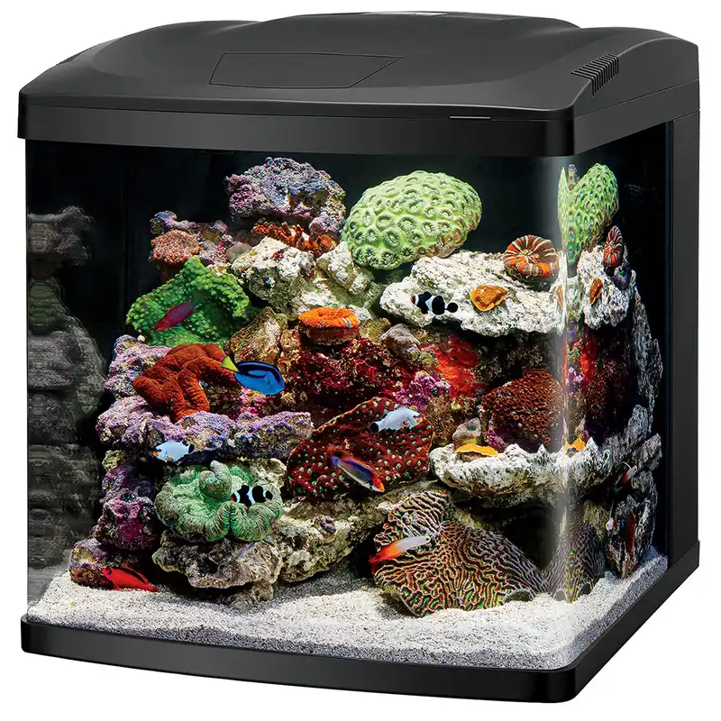 Biocube LED 32 Gallon - Royal