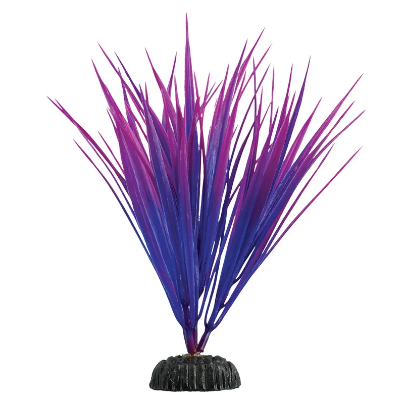 Purple Nile Grass - 7.5" Aquarium Plant