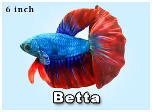 Red and Blue Betta Plushie - GreenPleco
