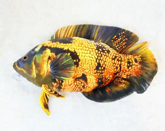 Jumbo Lava Oscar Plushie - GreenPleco