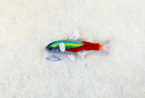 Day Neon Tetra Plushie - GreenPleco