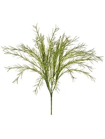 16.9" Grass Bush Green - DFW