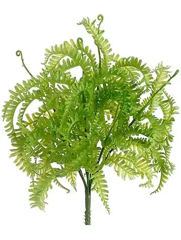 10" Mini Fern Bush Green - DFW