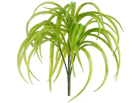 10" Rain Tree Grass Bush Green - Natural Environment Aquatix
