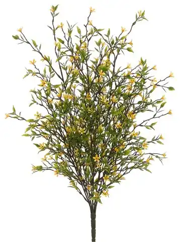 20" Wild Starflower Bush Yellow - DFW