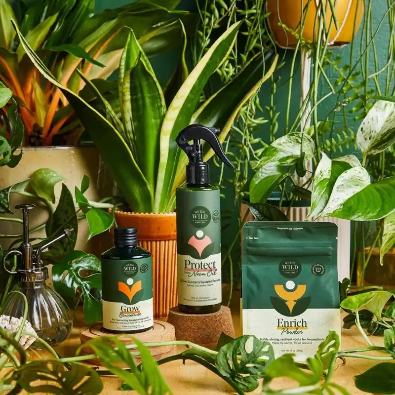 Houseplant Care Taster Kit - We The Wild Plant Care USA