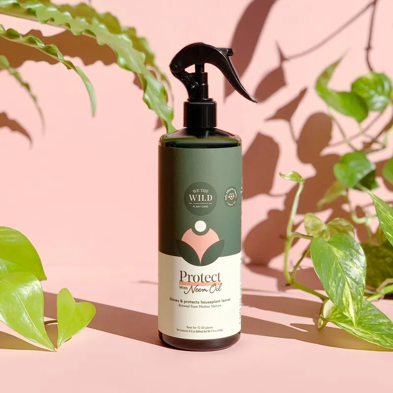 Protect Spray with Neem - We The Wild Plant Care USA