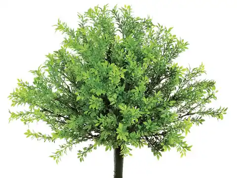 15" Tea Leaf Bush Green - DFW