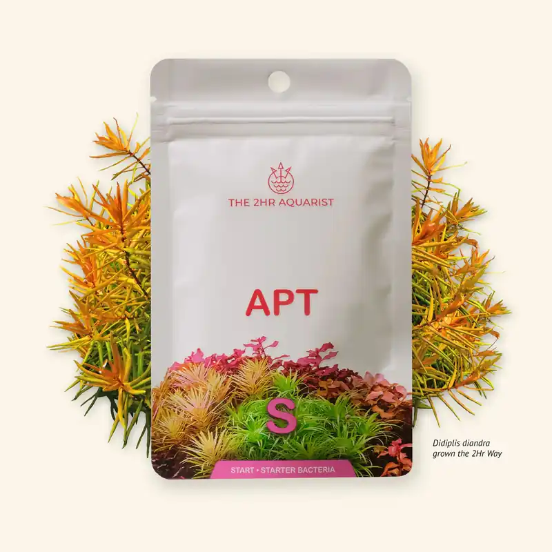 2HR Aquarist APT S-Starter Bacteria