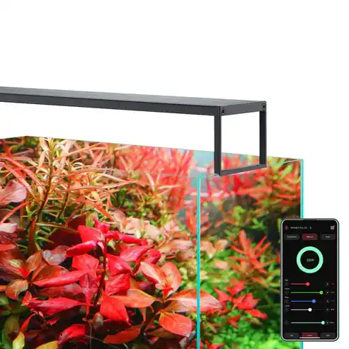 Chihiros WRGB II SLIM LED Light - UNS