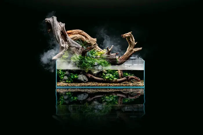 UNS Shallow Rimless Aquariums