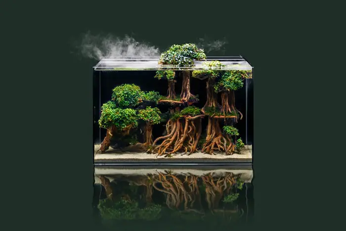 UNS All in One Rimless Aquariums