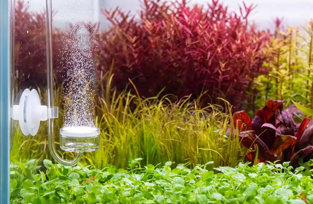 CO2 Workshop — Build Your Own CO2 System with the Cuboid Team (Friday, May 15th, 2026)