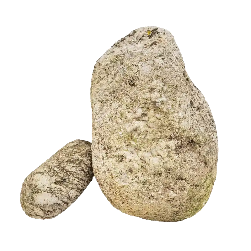 WIO Boulder - Elderly