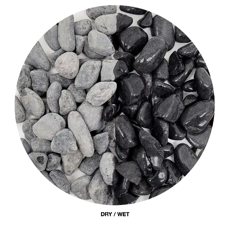 WIO Gravel - Black Venom