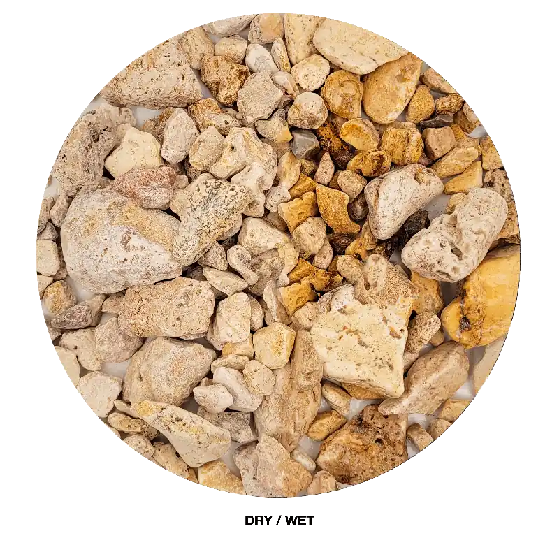 WIO Gravel - White Adder