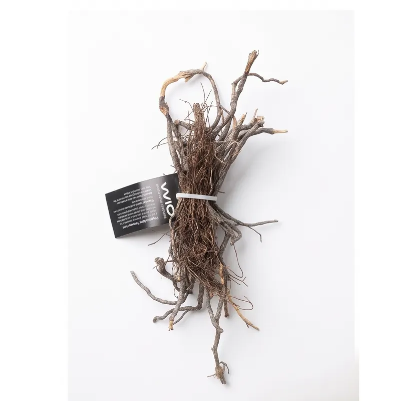 WIO Roots - Mini