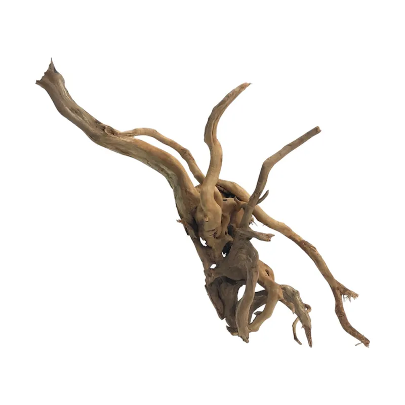 AquaLife Spiderwood