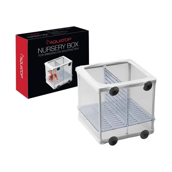 aqua top nursery box - Cuboid Nature Aquarium