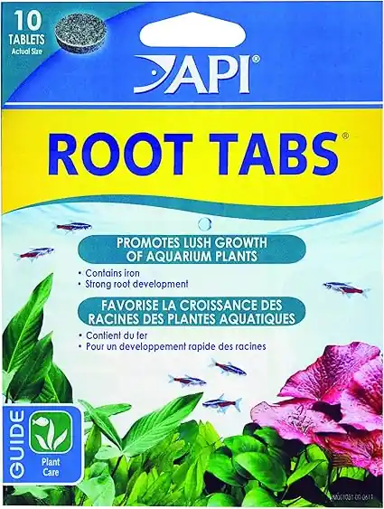 API Root Tabs-10 pack