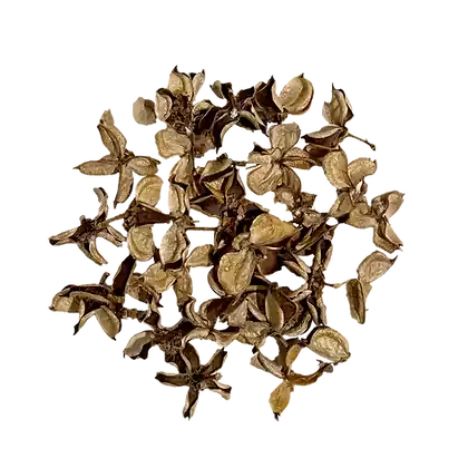 WIO Pods - Cotton Pod