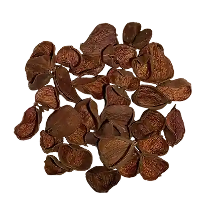 WIO Pods - Land Lotus Petals Pod