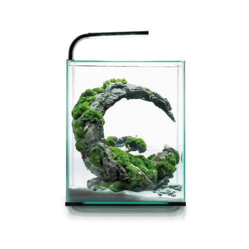 AquaEL Shrimp Set