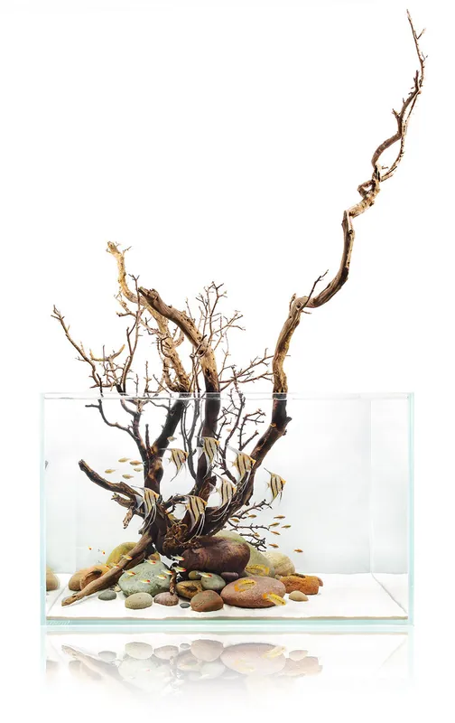 UNS Ultra Clear Rimless Aquariums