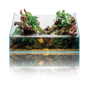 UNS Rimless Paludarium