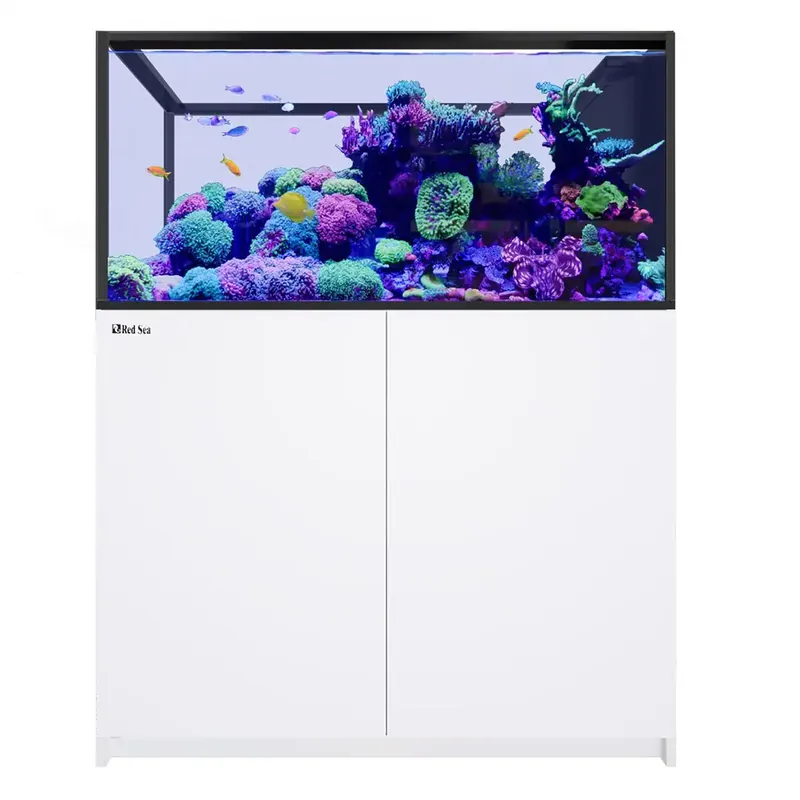 REEFER Peninsula 500 G3 White (109 Gallons) - Aquariums