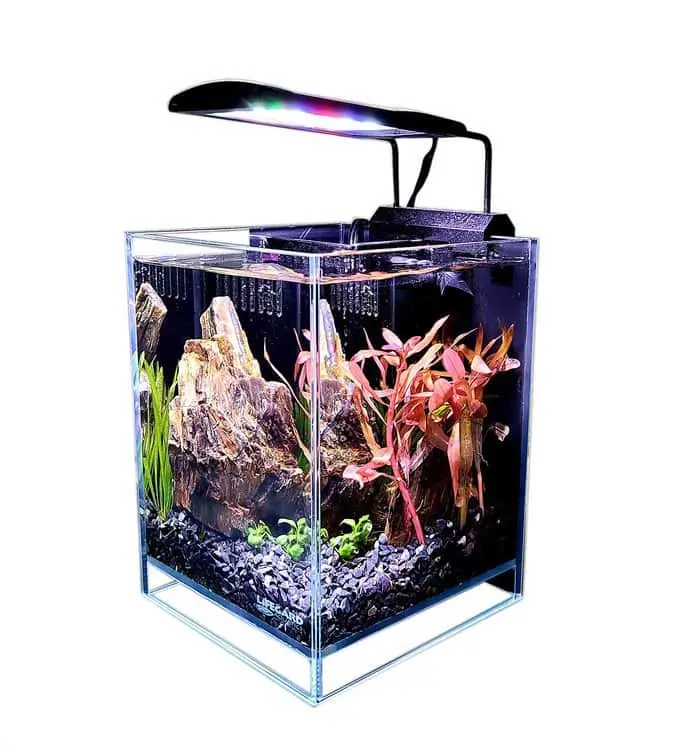 1.2 Gallon Crystal Aquarium Betta 45° Degree Lifegard Aquatics - Aquariums