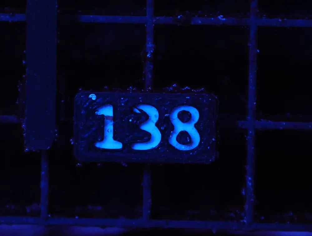 Z138 – - Saltwater
