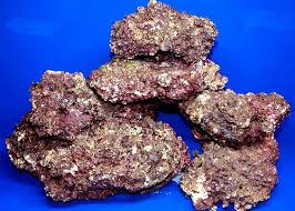 Fiji Premium Rock: 12+ Boxes NET WEIGHT lb. NET WEIGHT lb. – Scleractinia sp. - Corals