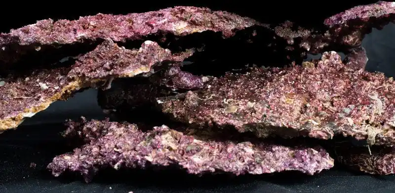 Real Reef Rock; Shelf – Price includes Box charge - Corals