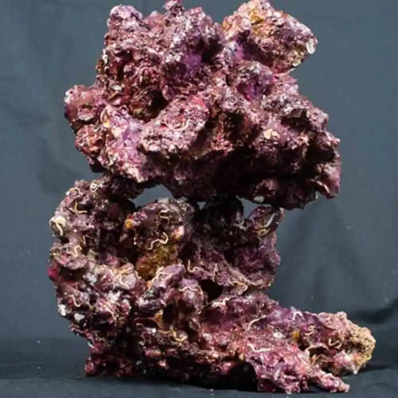 Real Reef Rock; Small 4+ box – Price includes Box charge - Corals